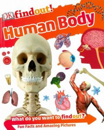 DKfindout! Human Body