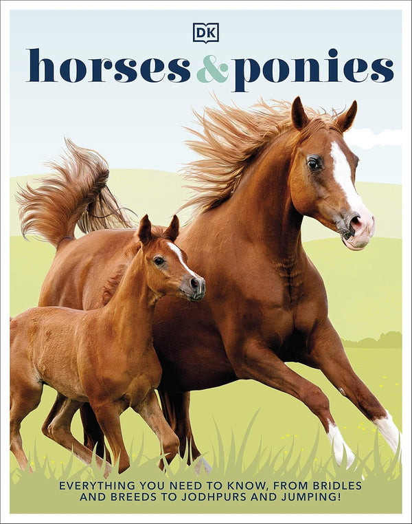 Horses & Ponies: Everything You Need to Know, From Bridles and Breeds to Jodhpurs and Jumping!