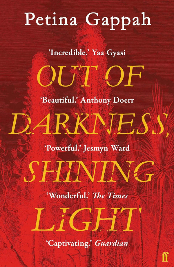 Out of Darkness, Shining Light A Novel