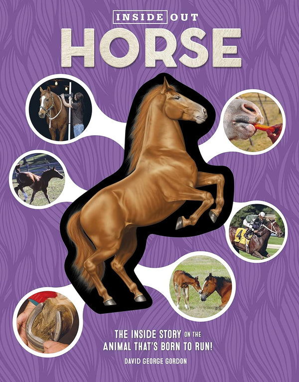 Horse The Inside Story on the Animal That's Born to Run! - Inside Out