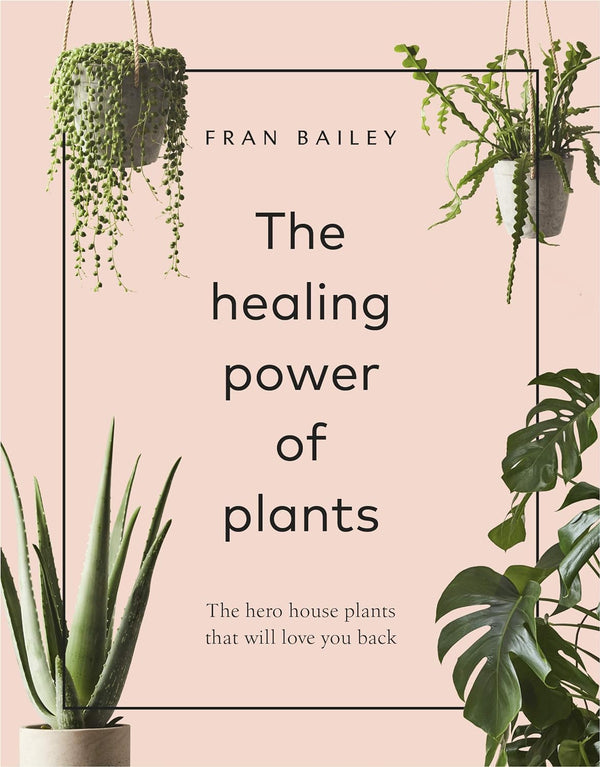 The Healing Power of Plants The Hero House Plants That Will Love You Back