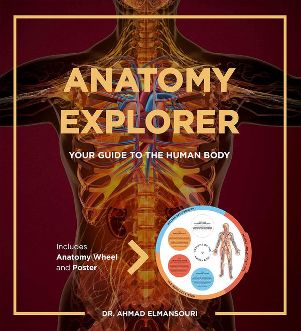 ANATOMY EXPLORER: Your Guide to the Human Body