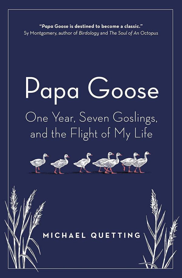 Papa Goose: One Year, Seven Goslings, and the Flight of My Life