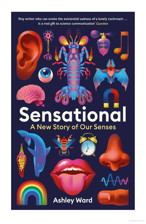 Sensational: A New Story of Our Senses