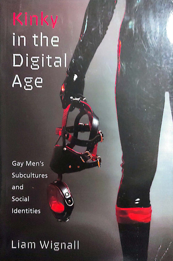 Kinky in the Digital Age: Gay Men's Subcultures and Social Identities (Sexuality, Identity, and Society)